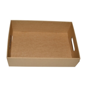 Food Paper Tray