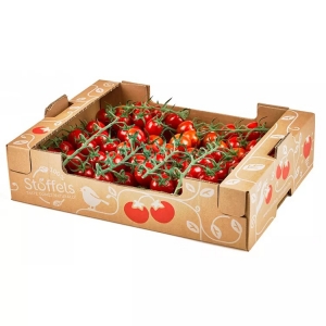 Fruit Paper Box